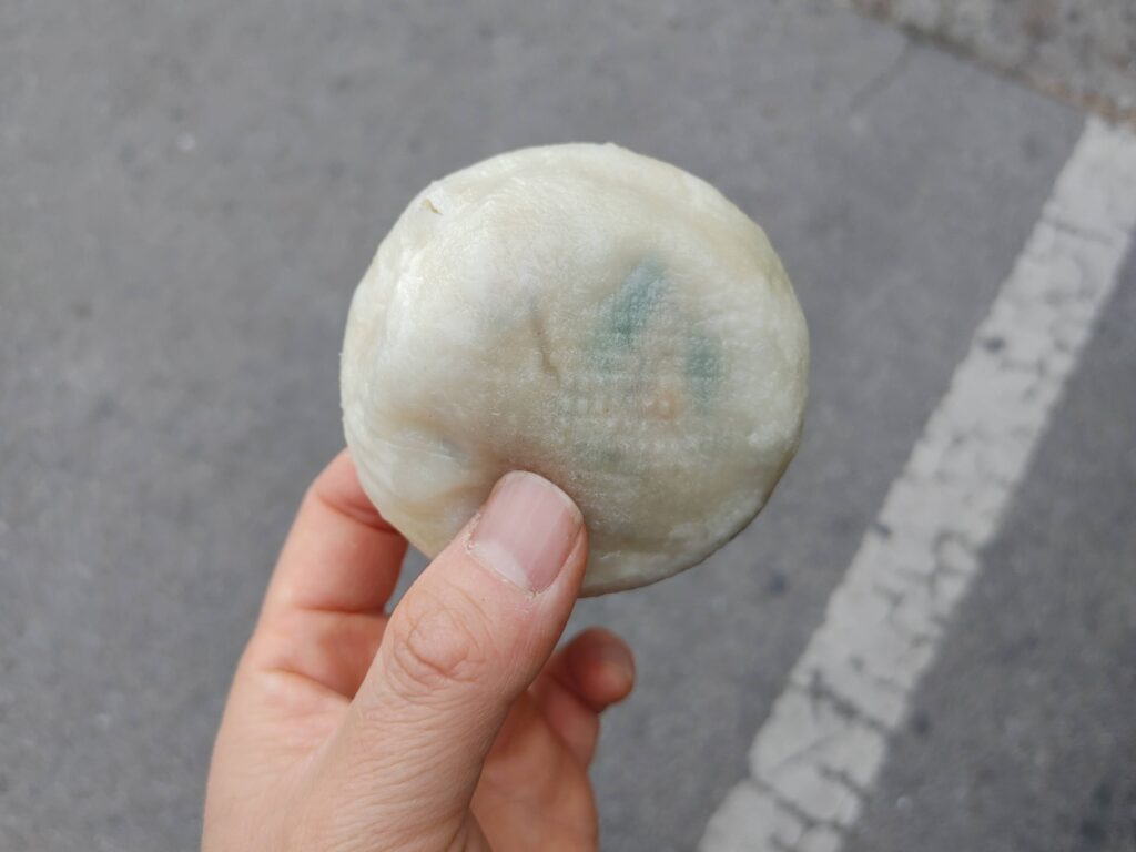 Holding wang mandu dumpling on street in Jongno Seoul Korea