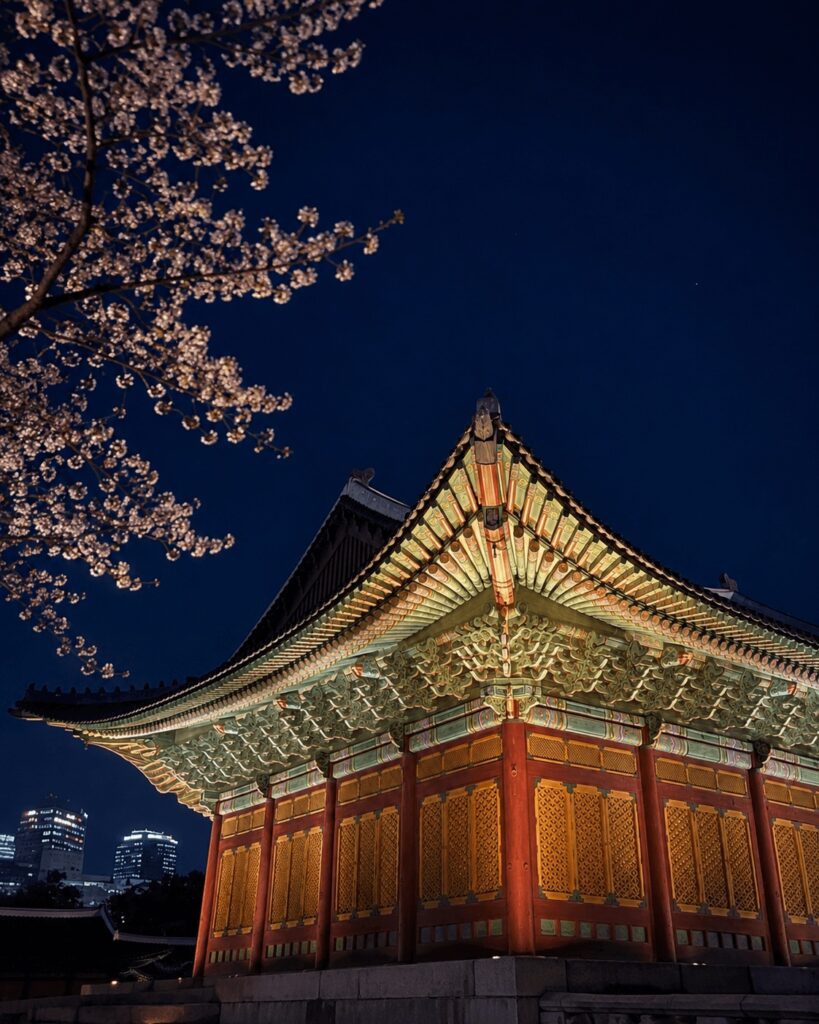 Night view of Junghwajeon Hall at Deoksugung Palace with cherry blossoms under the spring sky in Seoul.