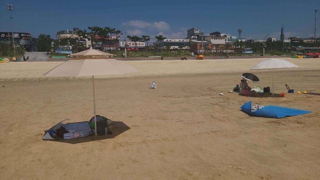 Parasol set up on the sandy beach at Daecheon Beach in Boryeong, Korea