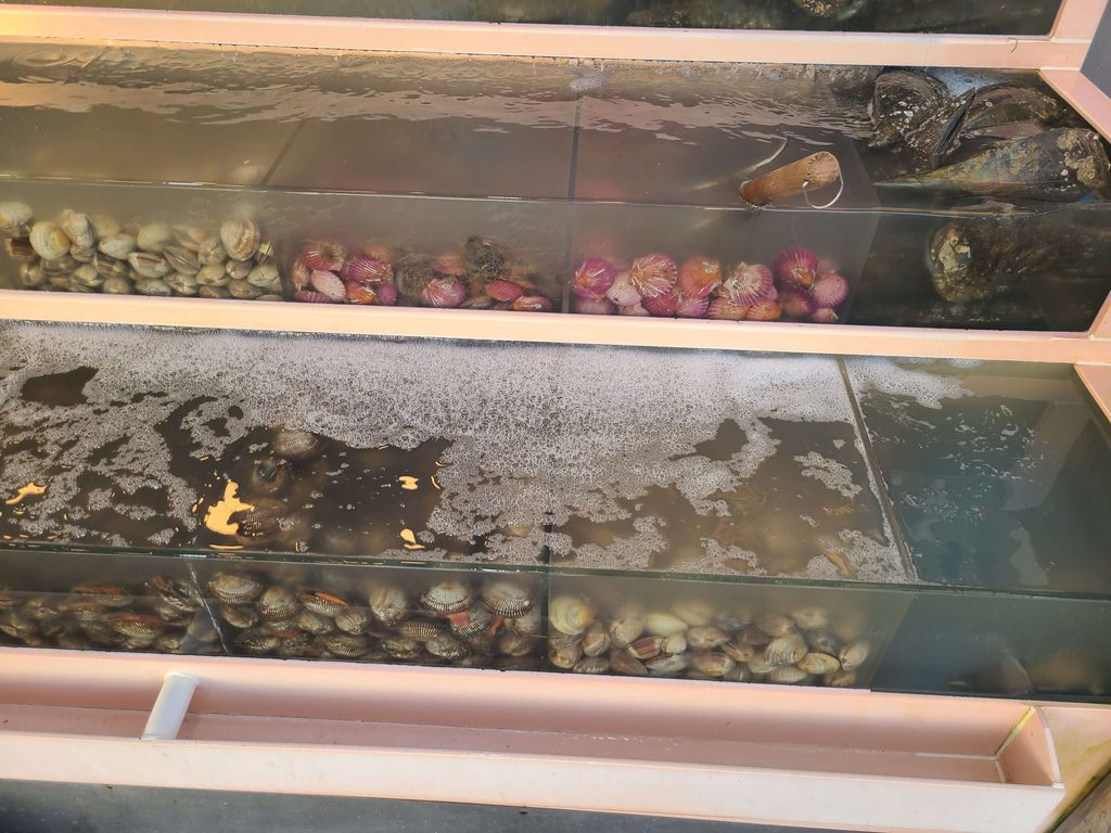 Live shellfish tanks at a Korean seafood restaurant